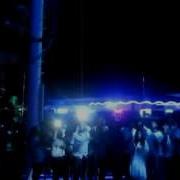 CATAMARAN Disco Babes 2012