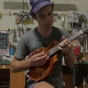 Finally Finished Setting Up This Custom F5 Style Mandolin
