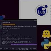 Data Science Workflow TUI Browsers Lua For NeoVim Deep Learning Unity Game Dev 12082025