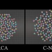 Implicit Coordination In Crowded Multi Agent Navigation