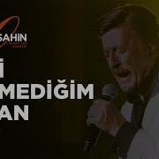 Selami Şahin Seni Sevmediğim Yalan 50 Sanat Yılı Konseri