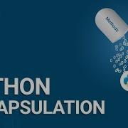Python Encapsulation Python Object Oriented Programming Python Training Edureka