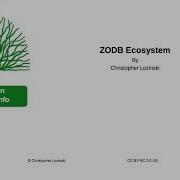 ZODB Ecosystem 6