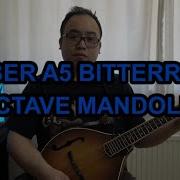 Weber A5 Bitterroot Octave Mandolin Purchase Initial Impressions The Funky Fiddler