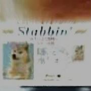 Stabbing License