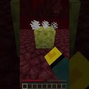 Minecraft Sponge Tricks