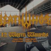 Death Whore 12 Worm Wounds OFFICIAL MUSIC VIDEO