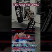 MIKE TYSON Hook TUTORIAL Iron Mike Punching Technique