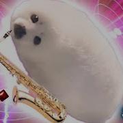 Seal With Saxophone Mp4