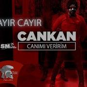 Cankan Cayır Cayır Pop