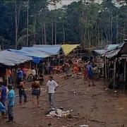 Brazil The Law Of The Jungle Deadliest Journeys