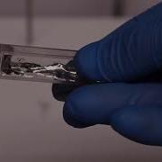 Дополнительное видео демонстрация эвтектики галлия индия
