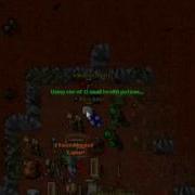 Rookgaard Traps Old Tibia
