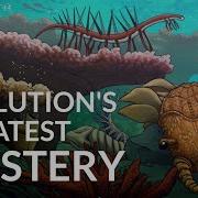 What Caused The Cambrian Explosion