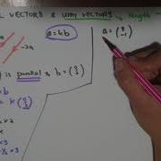Parallel Vectors And Unit Vectors