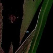Perception PS4 PC Hide And Seek Gameplay Trailer