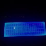 Test LCD 4x20 Web Server