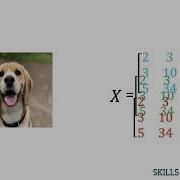 01 Introduction To Image Classification