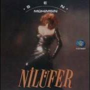 Nilüfer Bir Dünya Doğuyor 1990