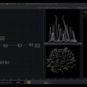 Цифровые растения Tut 11