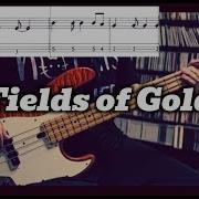 Sting Fields Of Gold Bass Cover BASS TAB In Video