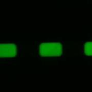 Droplet Microfluidics Array Formation FL