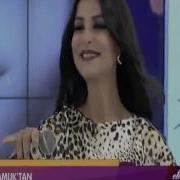 Sibel Pamuk Harmandan Gel