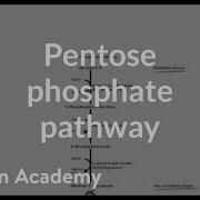 Pentose Phosphate Pathway Cyclic Structures And Anomers Biomolecules MCAT Khan Academy