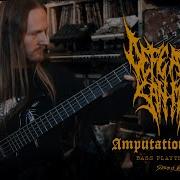 Defeated Sanity Amputationsdrang Official Bass Playthrough Chronicles Of Lunacy