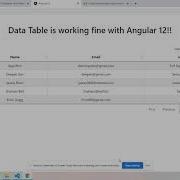 Angular 12 Data Table Working Demo