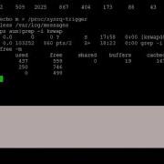 Linux Memory Management