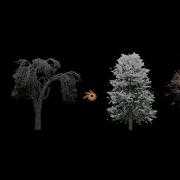 Low Poly Trees Scatter Render Massive Forests Fast