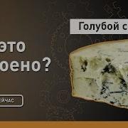 Голубой сыр Стилтон Как это устроено Discovery