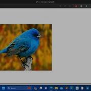 Background Attachment In CSS Fixed And Scroll