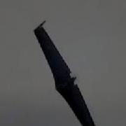 Flutter Of Zagi Flying Wing RC Airplane