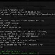 Basic Input Output In C