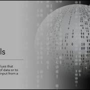 BeezMind C Programming Sentinels