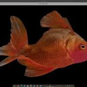 SDL RenderGeometry Wavefront Obj