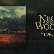 Neck Of The Woods EP 2015