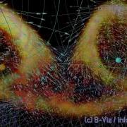 Visualization Of Gravity III