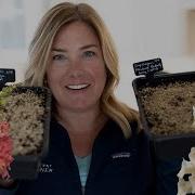 Sowing The First Seeds Of The Year Snapdragons And Foxglove