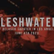 197 Drum Cam Fleshwater 06 04 2023