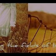 Sting The Police Fields Of Gold Lyrics HQ