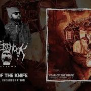 Year Of The Knife Internal Incarceration ALBUM REVIEW