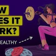 How Does The Immune System Actually Work