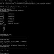Exploiting Etc Shadow File By Buffer OverFlow
