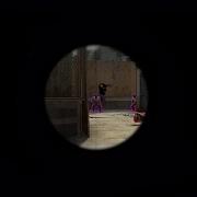 Shadowraze LXNER Quiizzzmeow Adaptive Strike CS GO