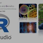 05 R Bioinformatics Data Visualization With GGPLOT2 Continue 2 X