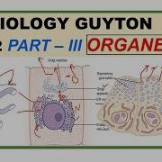 Chp 2 Part III Guyton Physio Organelles Cell Its Functions Guyton Physiology