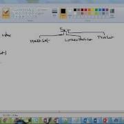 JAVA HASHSET LINKEDHASHSET TREESET 23